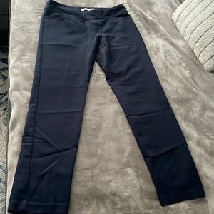 Dress pants